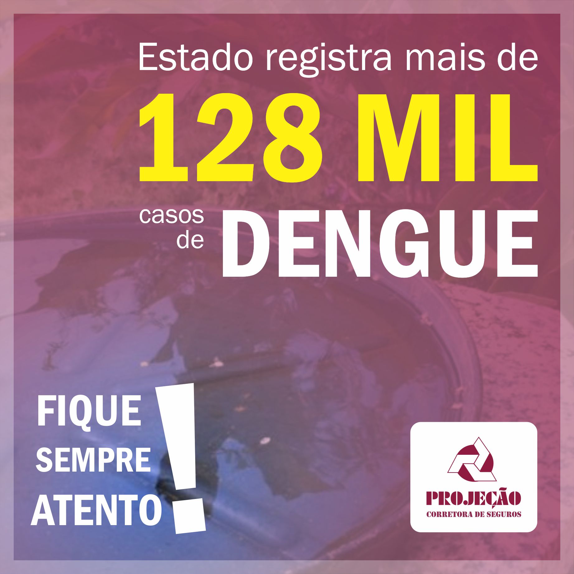 Fique alerta: não descuide da Dengue