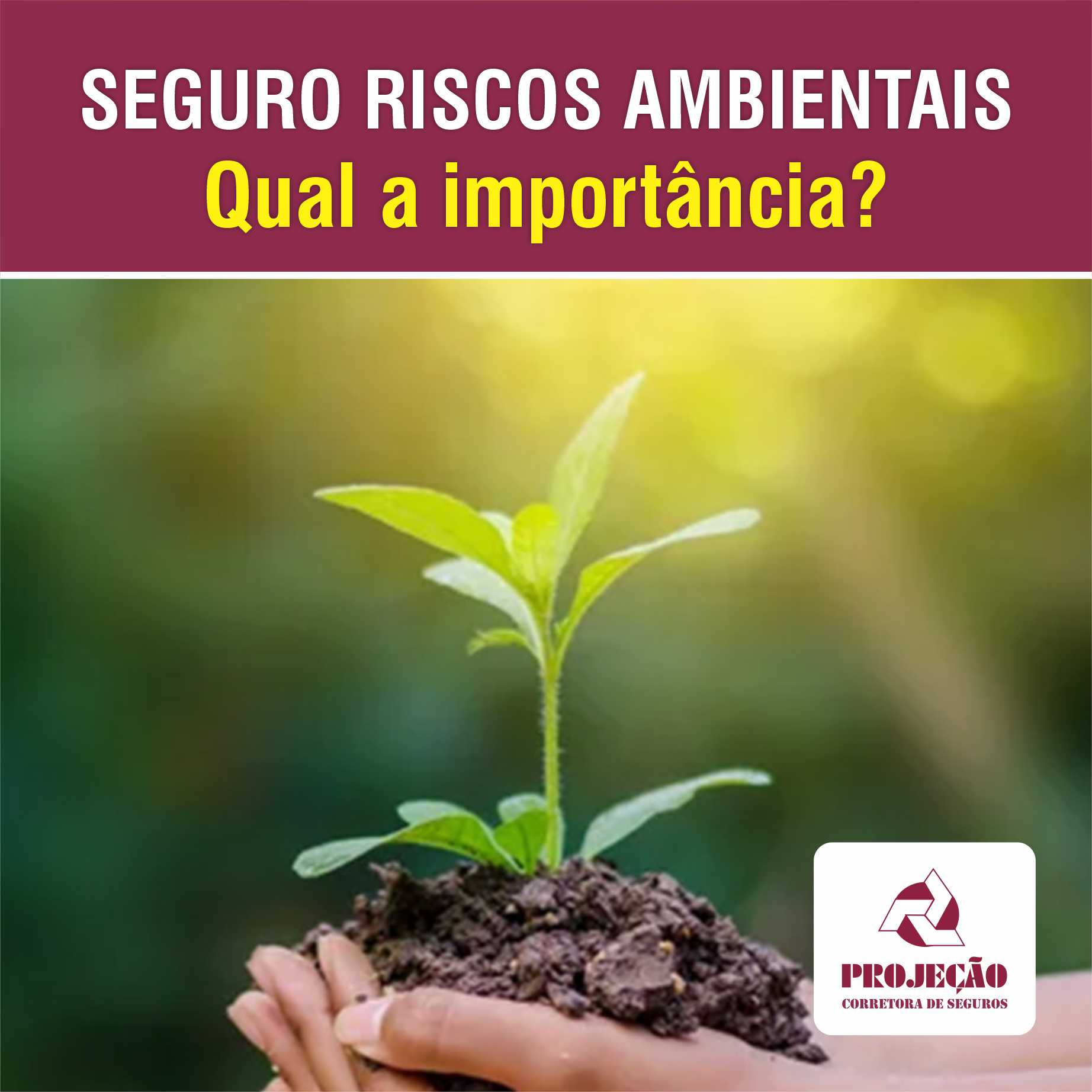 Seguro de Risco Ambiental